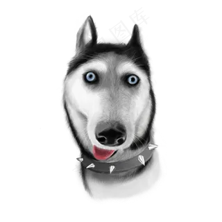 手绘大眼睛的哈士奇,免抠元素