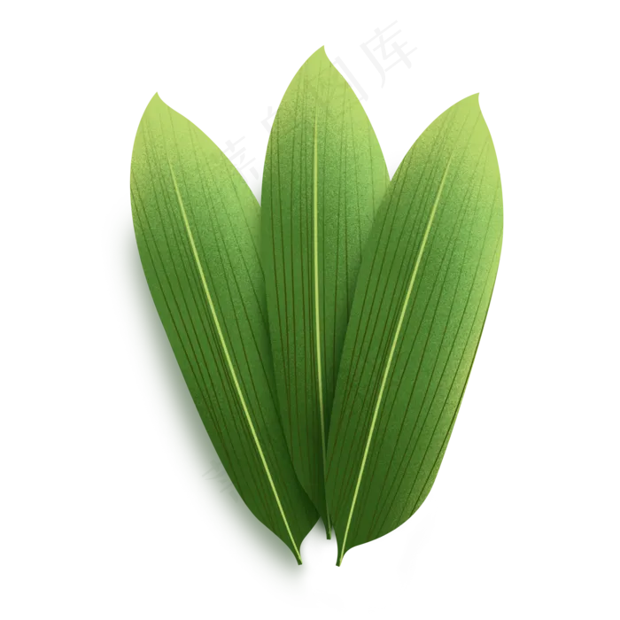 粽子的粽叶(2000X2000(DPI:300))psd模版下载