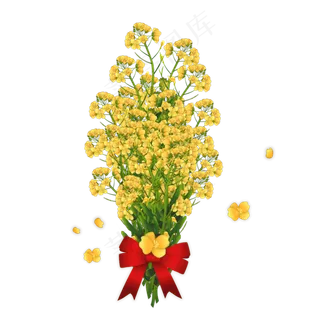 油菜花春天花季花束