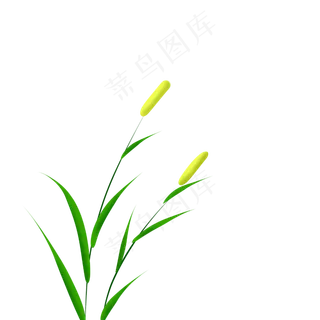 水草芦苇芦苇锥,免抠元素