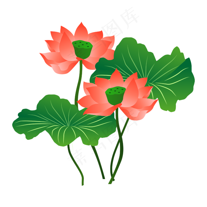 手绘卡通粉色荷花(4167*4167px 300 dpi )ai矢量模版下载