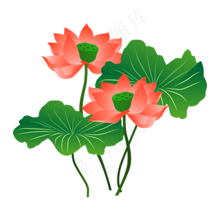 手绘卡通粉色荷花
