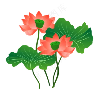 手绘卡通粉色荷花