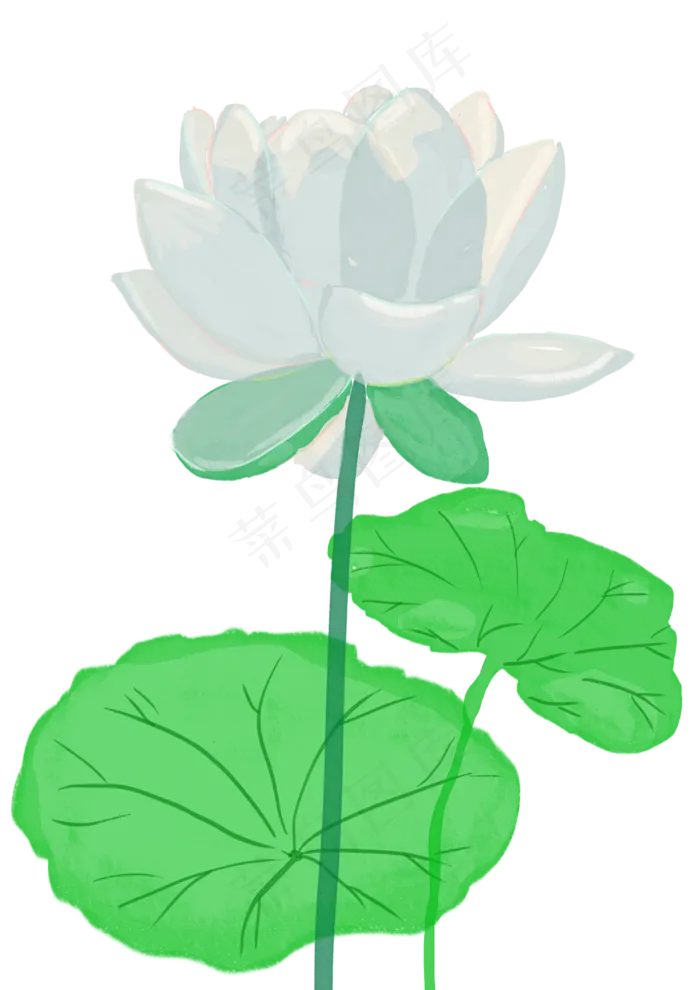 中国风水彩莲花png(2480X3508(DPI:300))psd模版下载