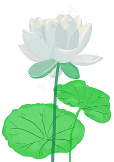 中国风水彩莲花png 中国风水彩莲花png