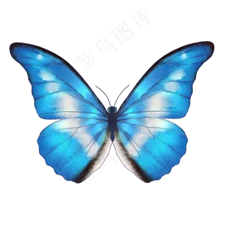 清新蓝色水彩蝴蝶 清新蓝色水彩蝴蝶