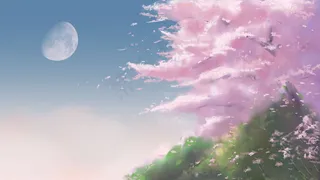 樱花季樱花节五一出游春天