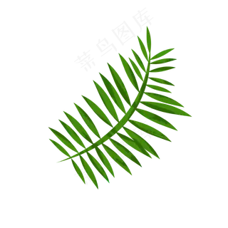 卡通绿叶装饰手绘文艺小清新