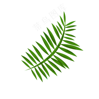 卡通绿叶装饰手绘文艺小清新