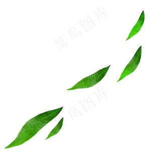 绿色叶子漂浮端午节五月五