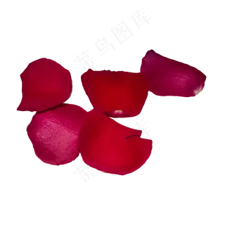 深红色玫瑰花瓣
