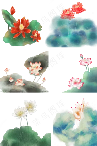 中国风水墨荷花素材合集