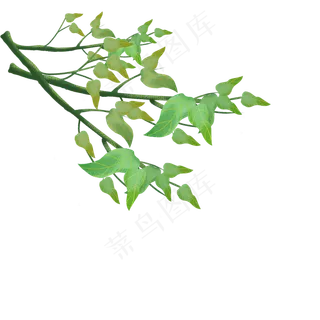 春天树枝png素材