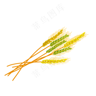 立秋秋季麦穗PNG,免抠元素