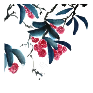 水墨国画荔枝妃子笑岭南PNG