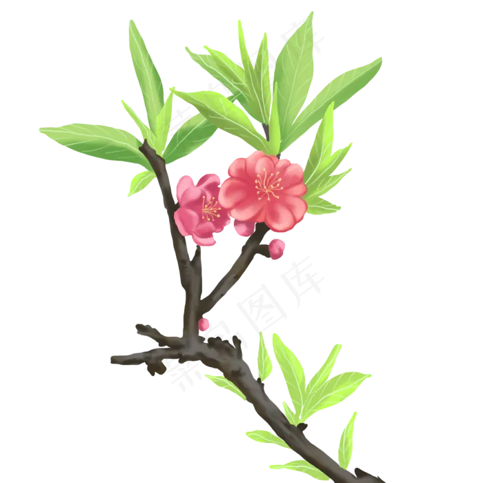 植物类桃花春暖花开手绘(2000X2000(DPI:300))psd模版下载