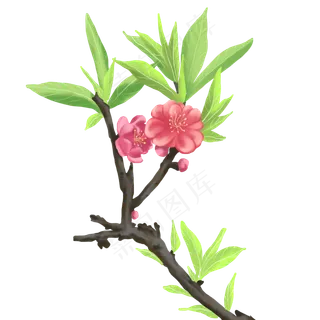 植物类桃花春暖花开手绘