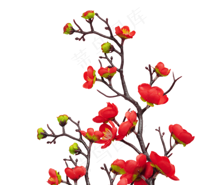 植物花开梅花(2000X2411(DPI:300))psd模版下载