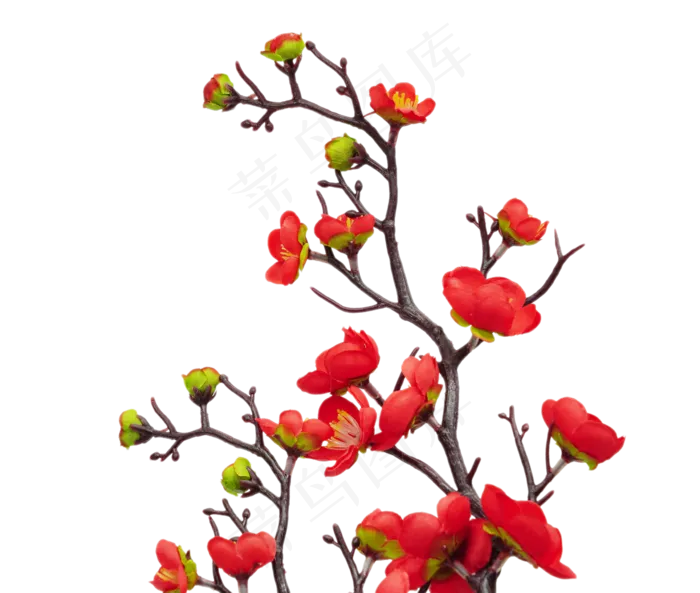 植物花开梅花(2000X2411(DPI:300))psd模版下载