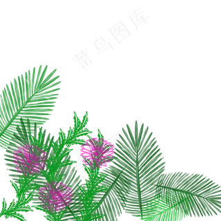 矢量热带植物边框下载