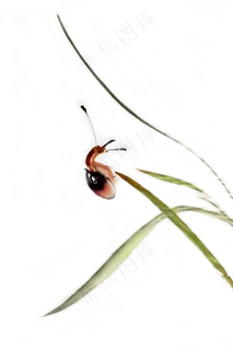 小蜗牛简约淡雅水墨画PNG免抠素材