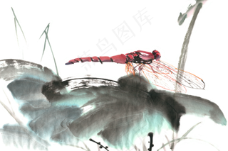 夏季蜻蜓荷叶池塘景色PNG免抠水墨