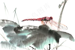 夏季蜻蜓荷叶池塘景色PNG免抠水墨