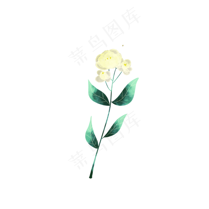 水彩清新茉莉花(2000X2000(DPI:72))psd模版下载