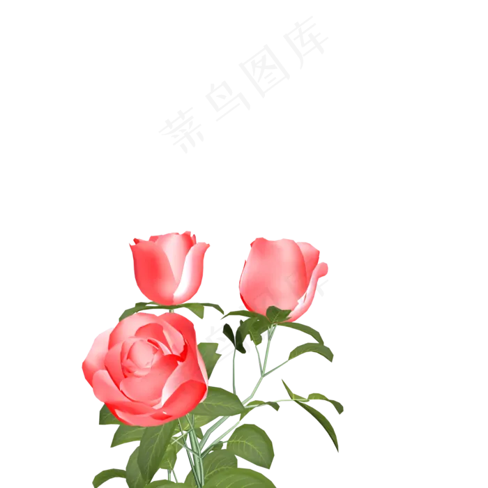 玫瑰花(2480X3508(DPI:300))psd模版下载