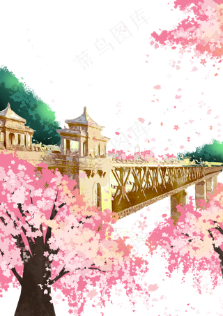 春暖花开的武汉樱花