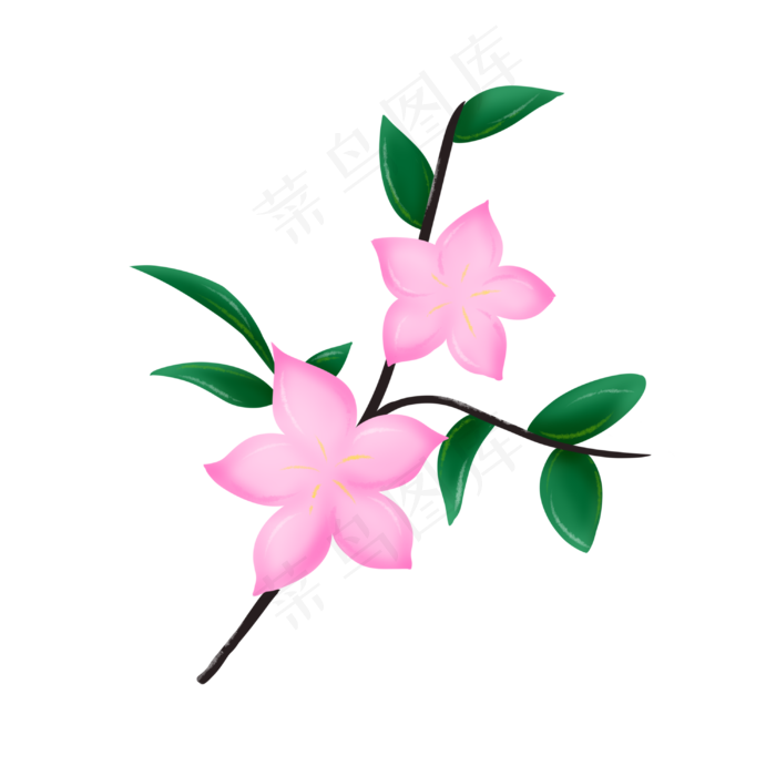 粉色花朵花枝插画