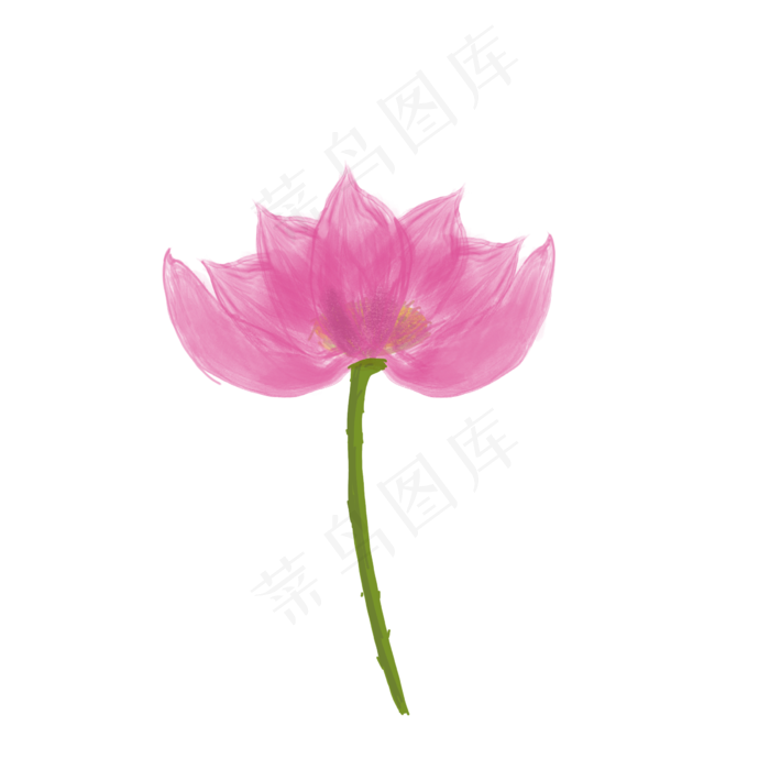 手绘荷花png素材