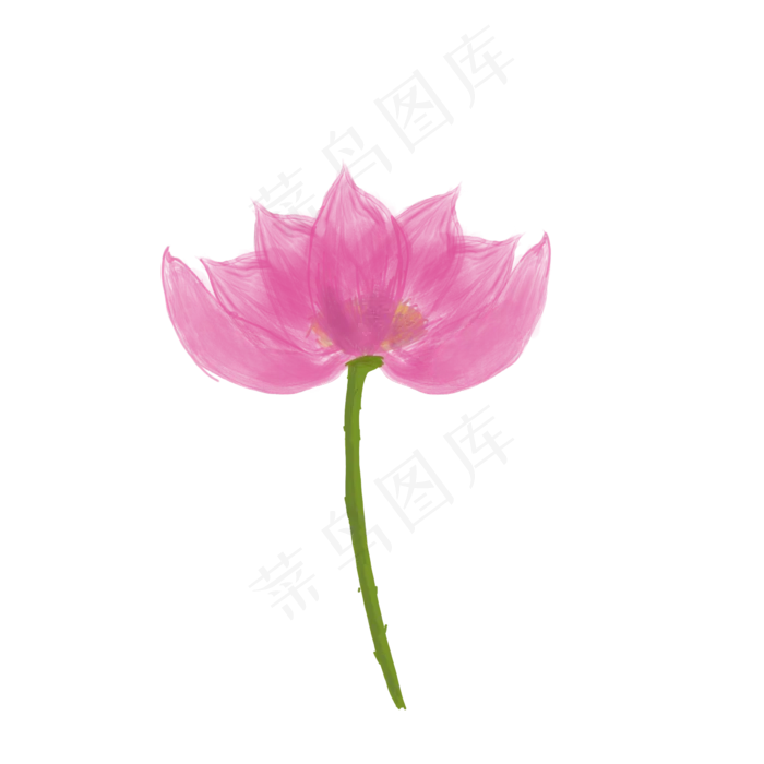 手绘荷花png素材(2400X2400(DPI:300))psd模版下载