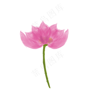 手绘荷花png素材