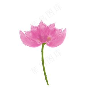 手绘荷花png素材