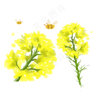 油菜花与蜜蜂手绘风格矢量免抠图