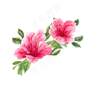 手绘风水彩艺术花卉红花绿叶元素