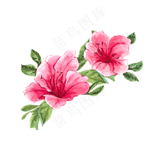 手绘风水彩艺术花卉红花绿叶元素