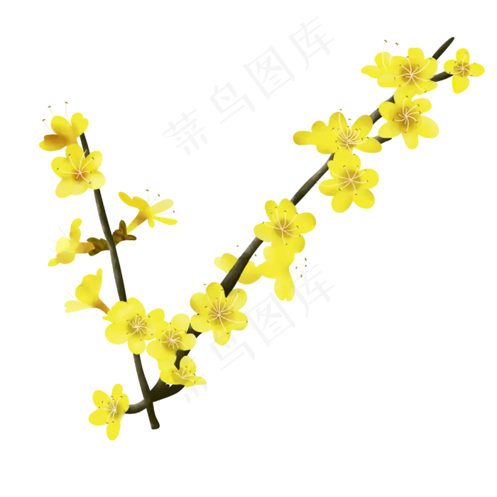 黄色花枝迎春花,免抠元素(3000X3000(DPI:299))psd模版下载