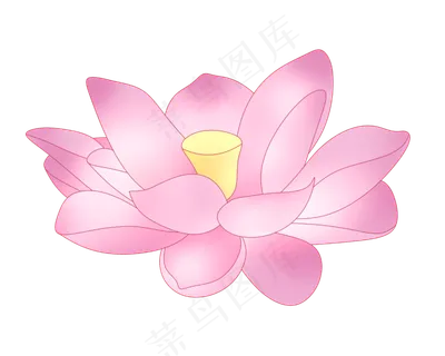 一朵紫色荷花插图