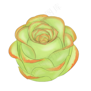 手绘多肉山地玫瑰PNG素材