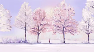 树林治愈美景唯美孤独感