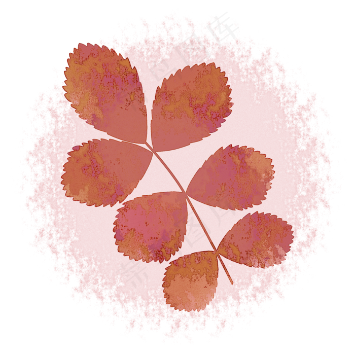 玫瑰叶子中国风水墨水彩PNG素材