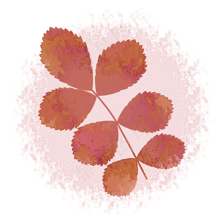 玫瑰叶子中国风水墨水彩PNG素材