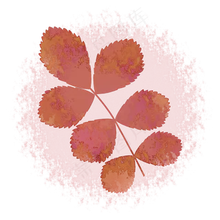 玫瑰叶子中国风水墨水彩PNG素材