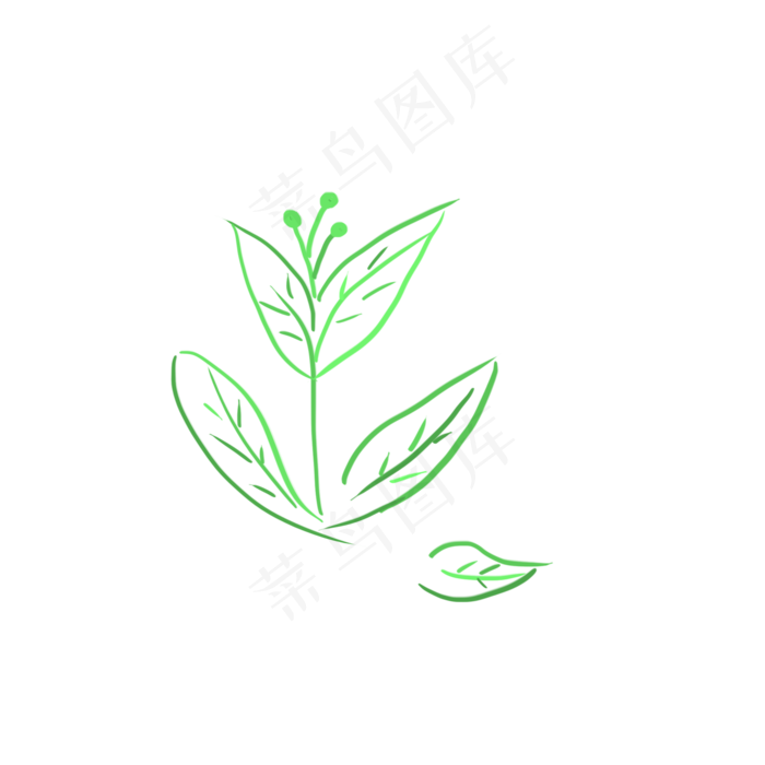叶子装饰图案小草线描(2000X2000(DPI:300))psd模版下载