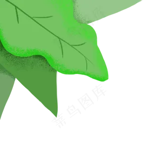 翠绿色卡通角落的手绘叶子