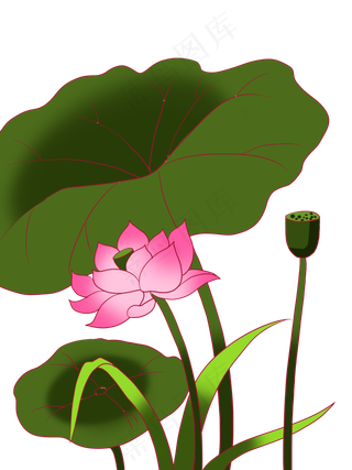 荷叶荷花主题手绘