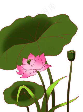 荷叶荷花主题手绘