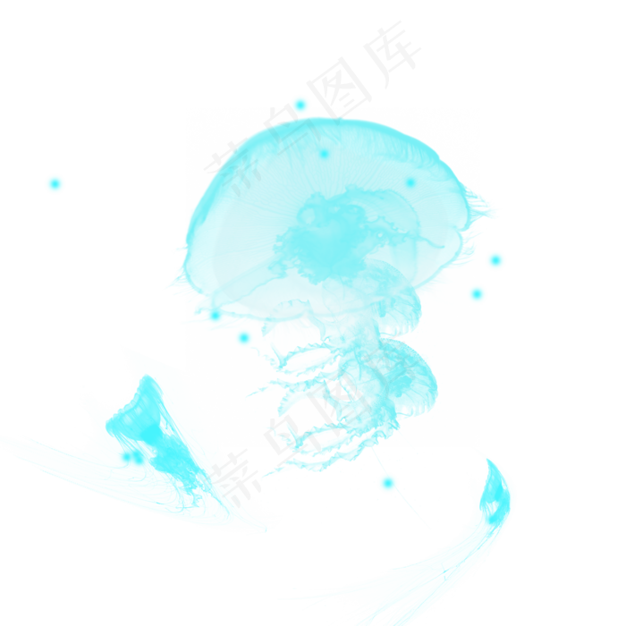 蓝色海底水母乌贼元素,免抠元素(2000*2000px 300 dpi )psd模版下载